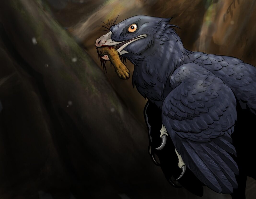 Rare fossil gives insight on dinosaur eating mammals Rare fossil gives insight on dinosaur eating mammals
