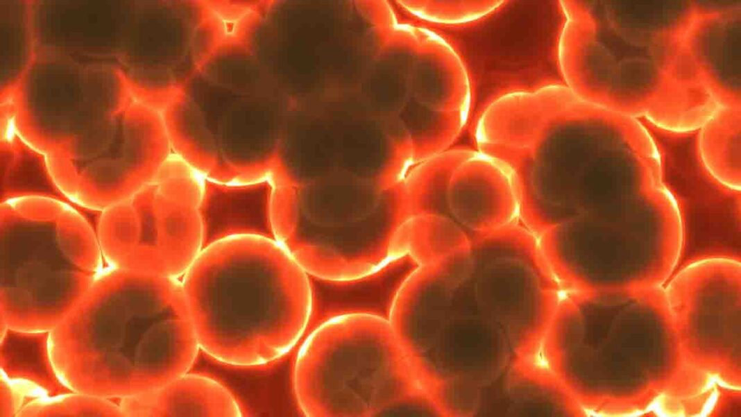 Altruistic” bacterium survival study Altruistic” bacterium survival study