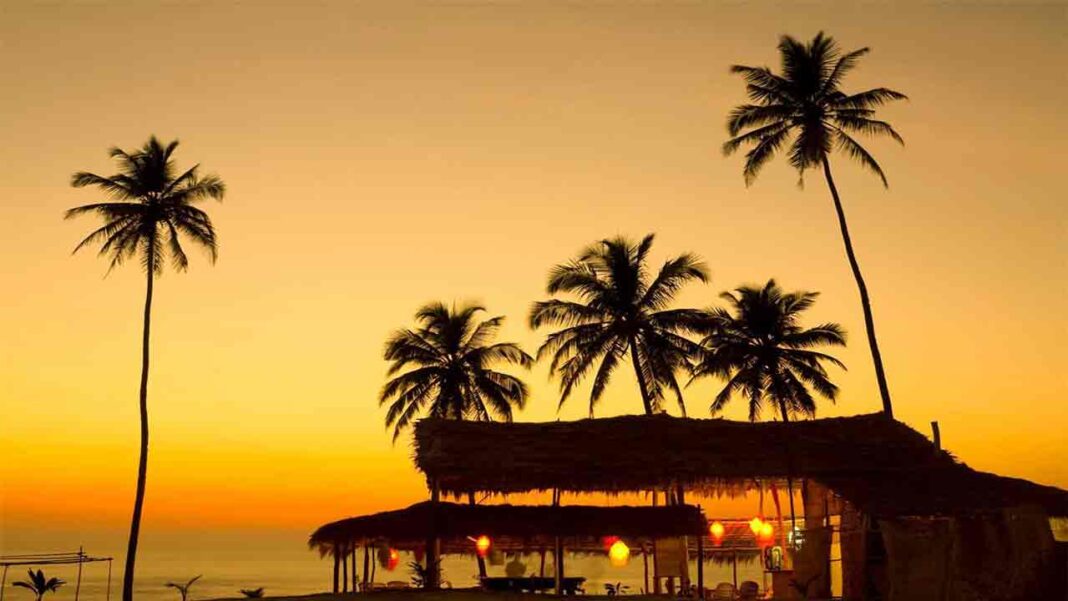 Paradise for Party-Goers! Paradise for Party-Goers!