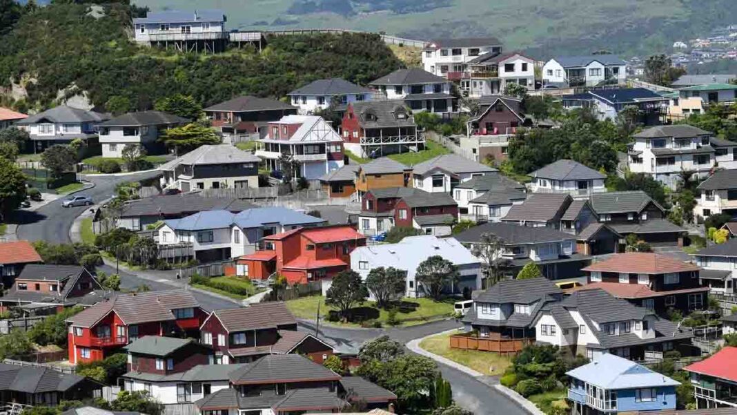 Hundreds of Chinese buyers are interested in the New Zealand housing market Hundreds of Chinese buyers are interested in the New Zealand housing market