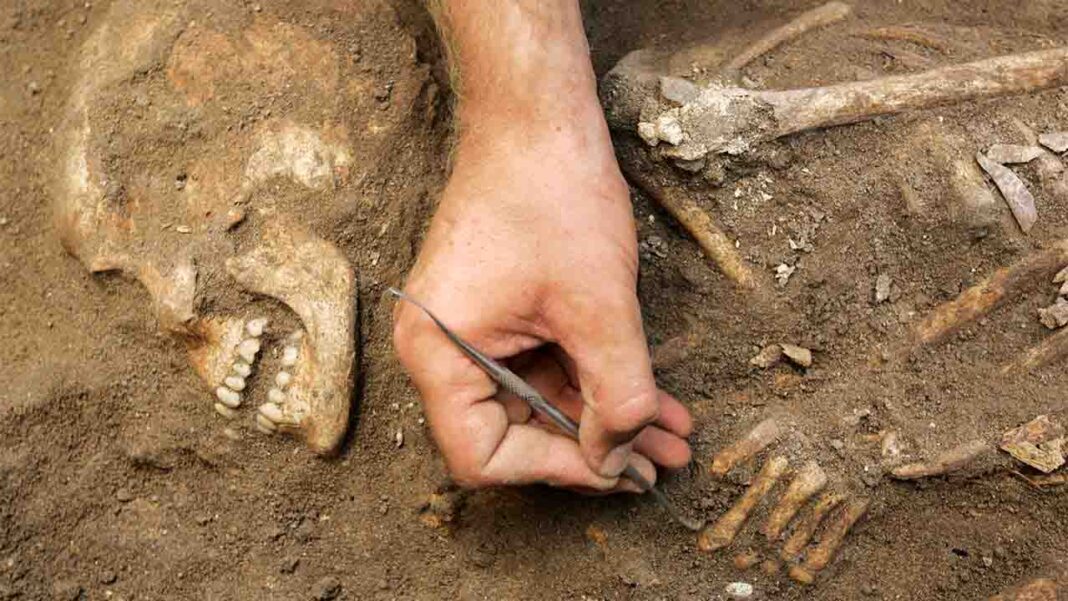 Archaeologists give insights on British Stone Age hunter-gatherers Archaeologists give insights on British Stone Age hunter-gatherers