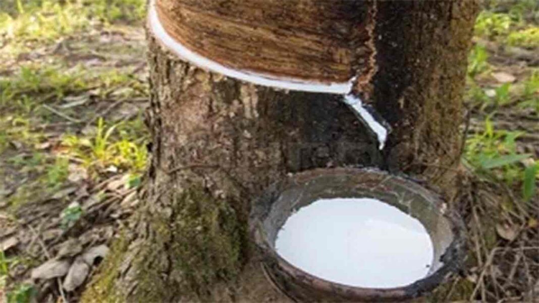 <strong>The rubber industry is going to encounter significant changes in 2023</strong> <strong>The rubber industry is going to encounter significant changes in 2023</strong>