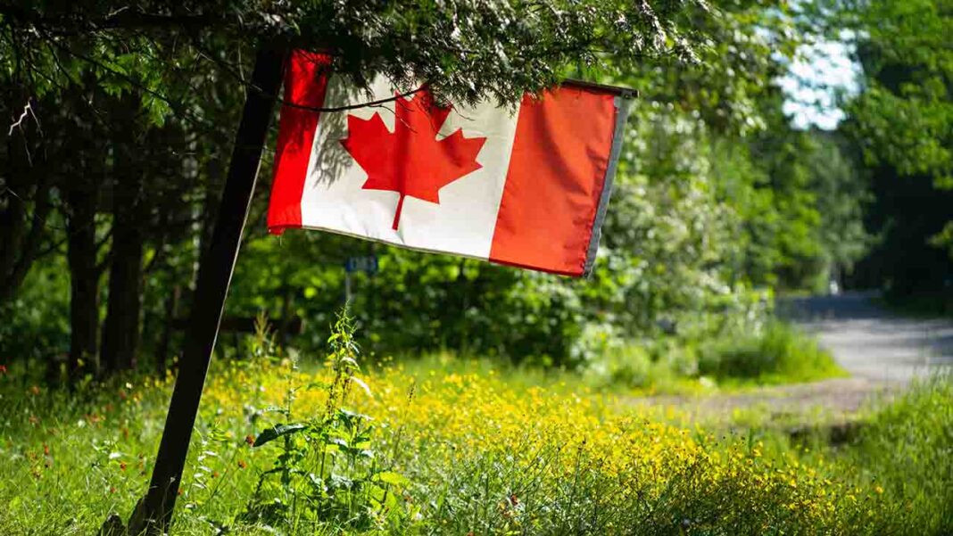 The Canadian inflation rate has slowed more than expected. The Canadian inflation rate has slowed more than expected.