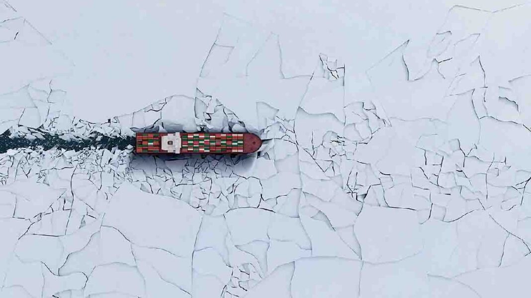 <strong>Head of a shipping hedge fund predicts another prosperous year for the sector</strong> <strong>Head of a shipping hedge fund predicts another prosperous year for the sector</strong>