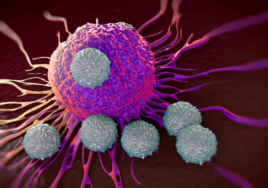 Cancer spreading biomechanics Cancer spreading biomechanics