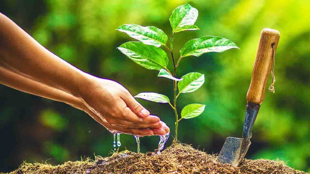 National Arbor Day National Arbor Day
