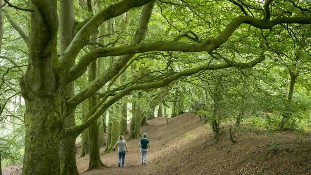 Prescribing nature for mental health Prescribing nature for mental health