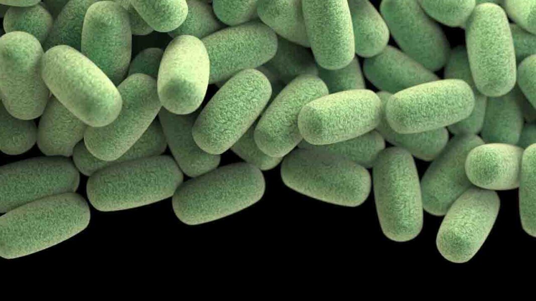 Clever protein to be used as weapon for immunity Clever protein to be used as weapon for immunity