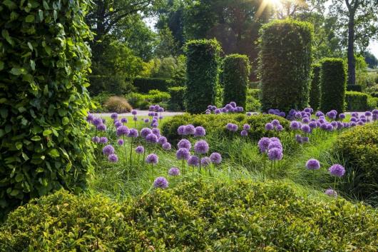 Enter Britain’s Royal Horticultural Society for £1! Enter Britain’s Royal Horticultural Society for £1!