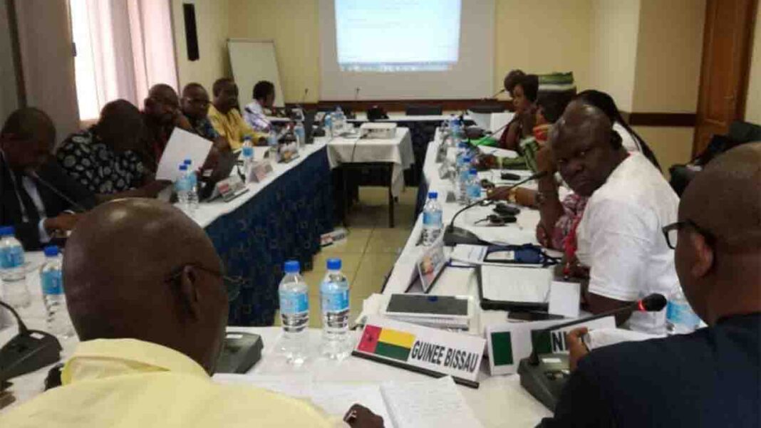 IOM: Malawi is making good progress in managing migration. IOM: Malawi is making good progress in managing migration.