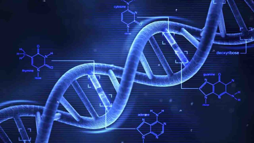 National DNA Day National DNA DayÂ