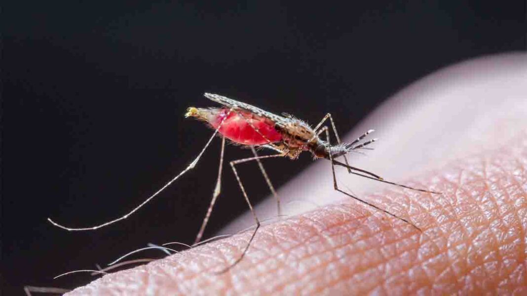 National Malaria Day National Malaria Day