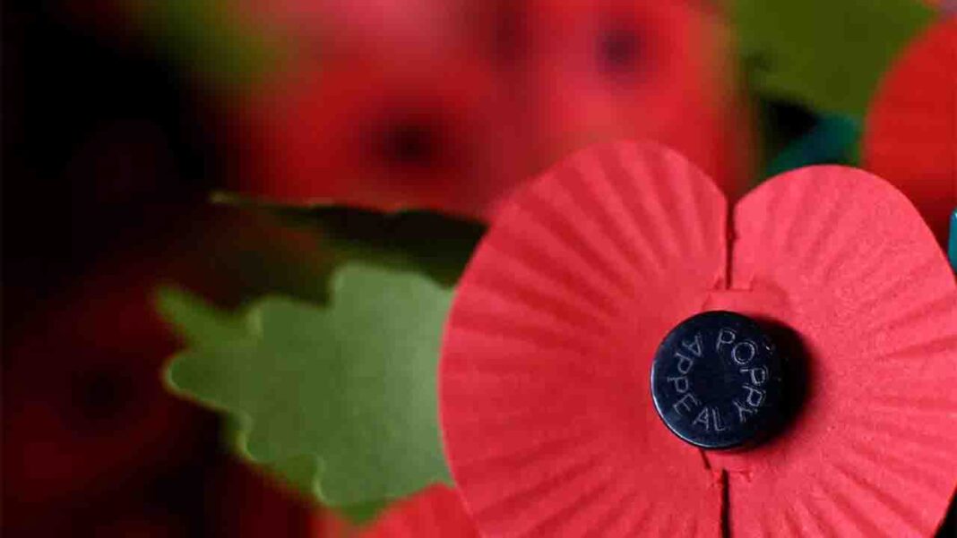 Environmentally friendly poppy in Britain Environmentally friendly poppy in Britain