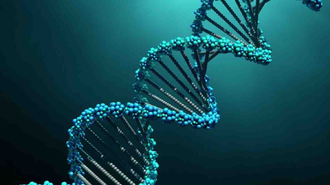 Is there a carbon copy of you? The role of DNA in our life. Is there a carbon copy of you? The role of DNA in our life.