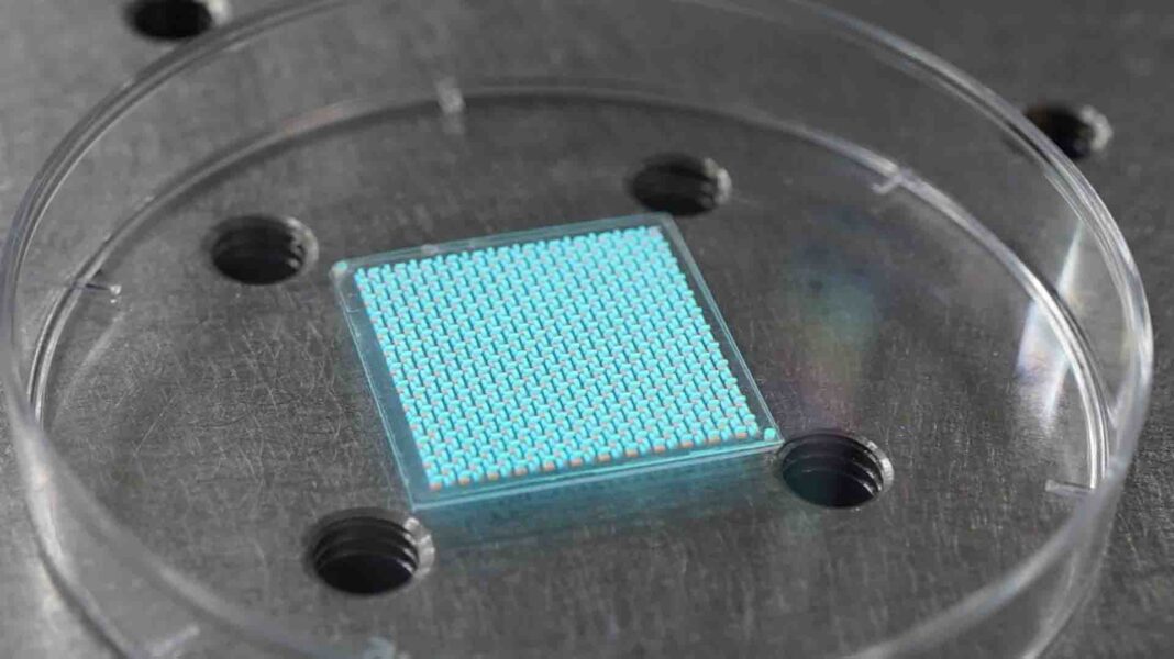 Benefit self-driving, biological imaging and more through the new light-field sensor Benefit self-driving, biological imaging and more through the new light-field sensor