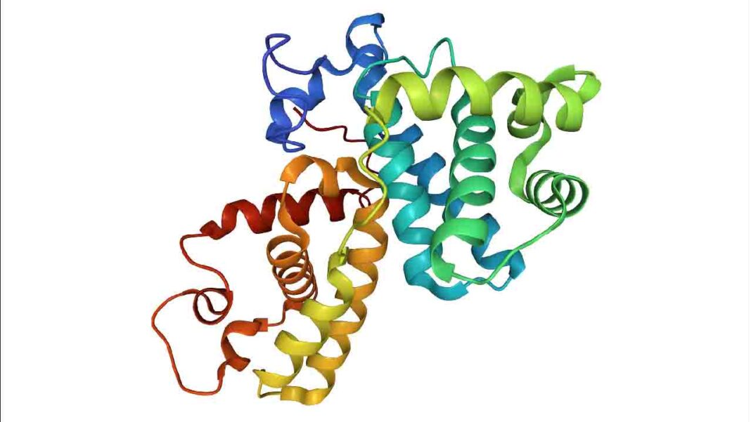 AI role in designing proteins! What next? AI role in designing proteins! What next?