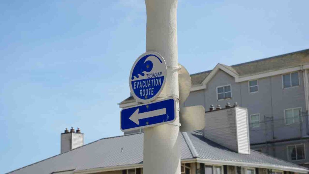 How AI will help in tsunami warning How AI will help in tsunami warning
