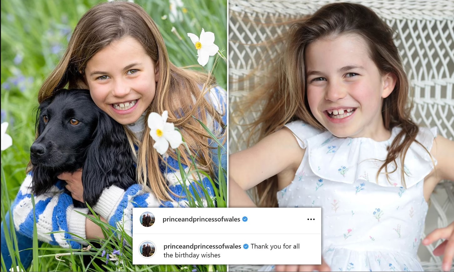 Princess Charlotte Celebrates Her 8th Birthday Seen in New Portrait