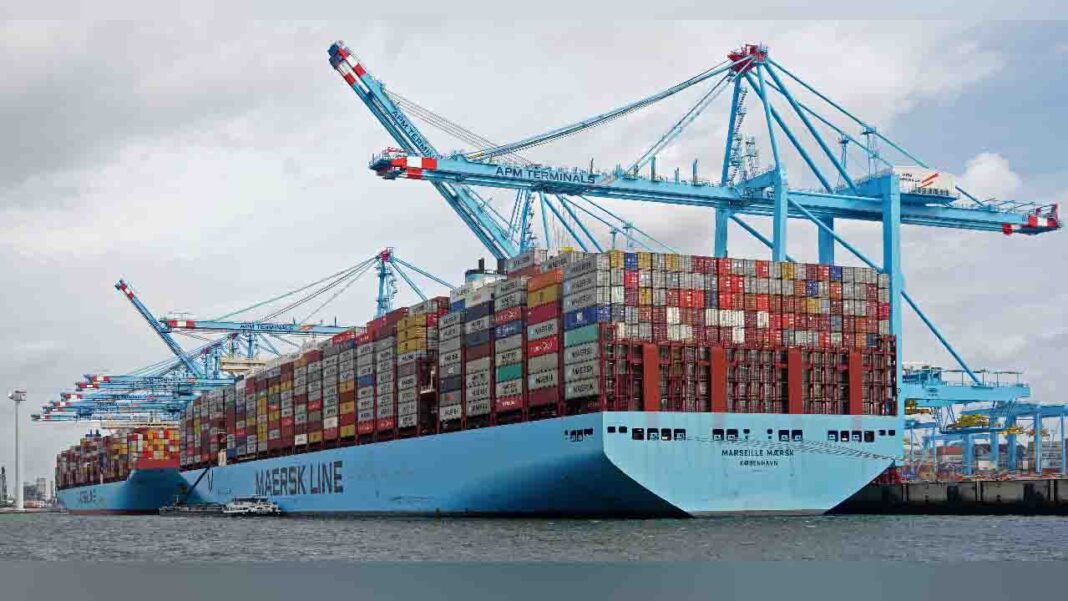 The establishment of a container fleet by worldwide ports The establishment of a container fleet by worldwide ports
