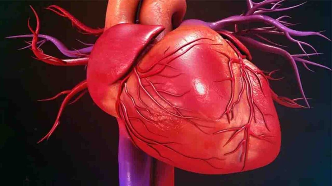 AI helps mark 5 heart failure types AI helps mark 5 heart failure types