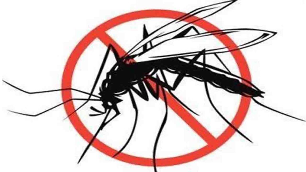 Diminishing the malaria burden in Nigeria Diminishing the malaria burden in Nigeria