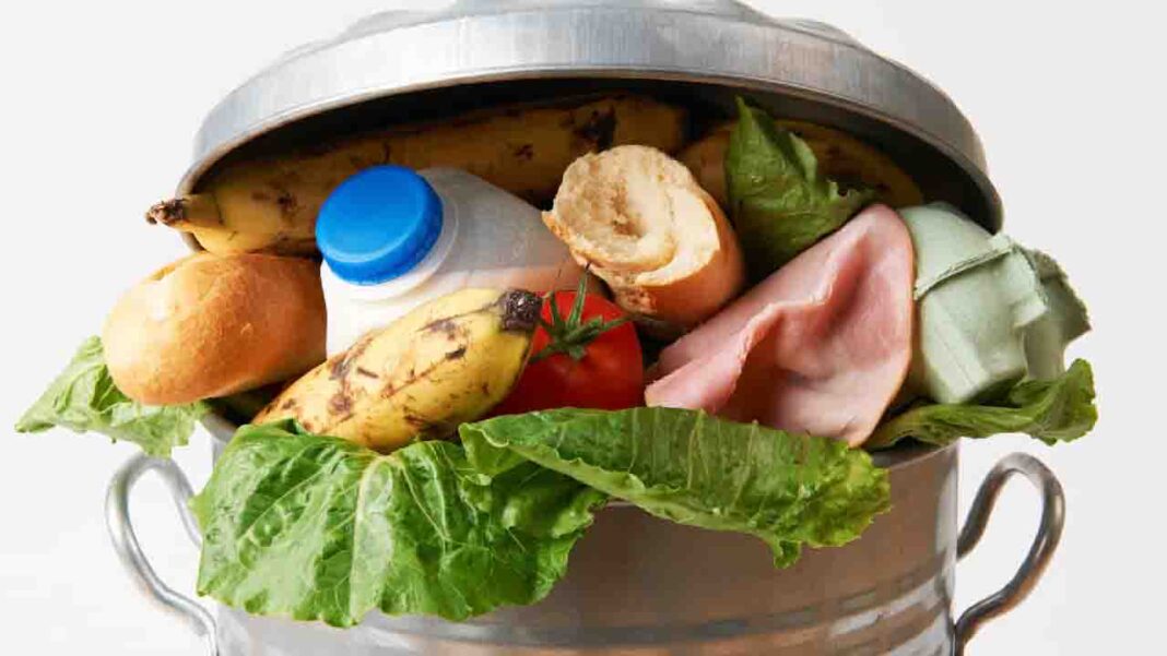 New Technology Could Help to Reduce Food Waste New Technology Could Help to Reduce Food Waste
