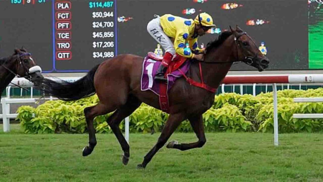 The race stops in Singapore! The race stops in Singapore!