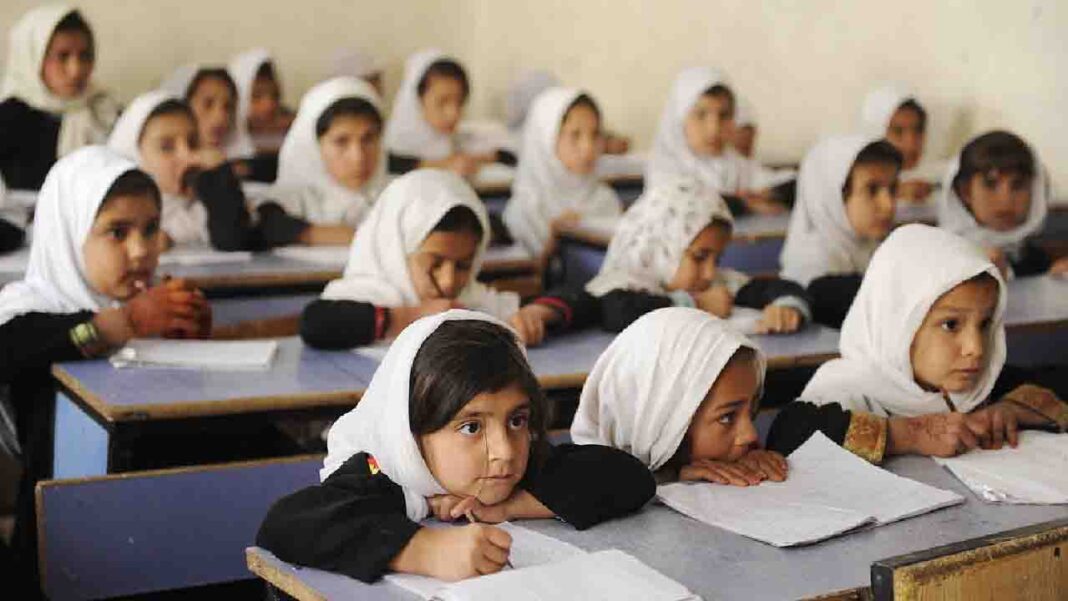 What does Afghanistan unleash now?… What does Afghanistan unleash now?…