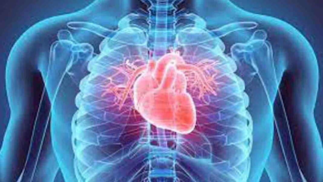 kids and teens face health risks due to E… D. kids and teens face health risks due to E… D.