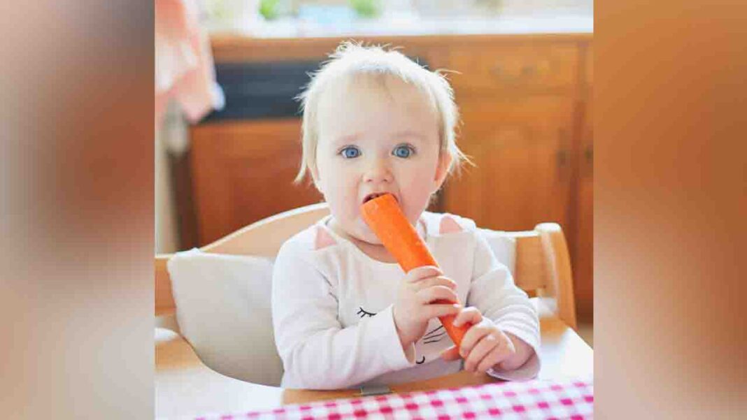 Your kids better love carrot casserole and carrot bread…! Your kids better love carrot casserole and carrot bread…!
