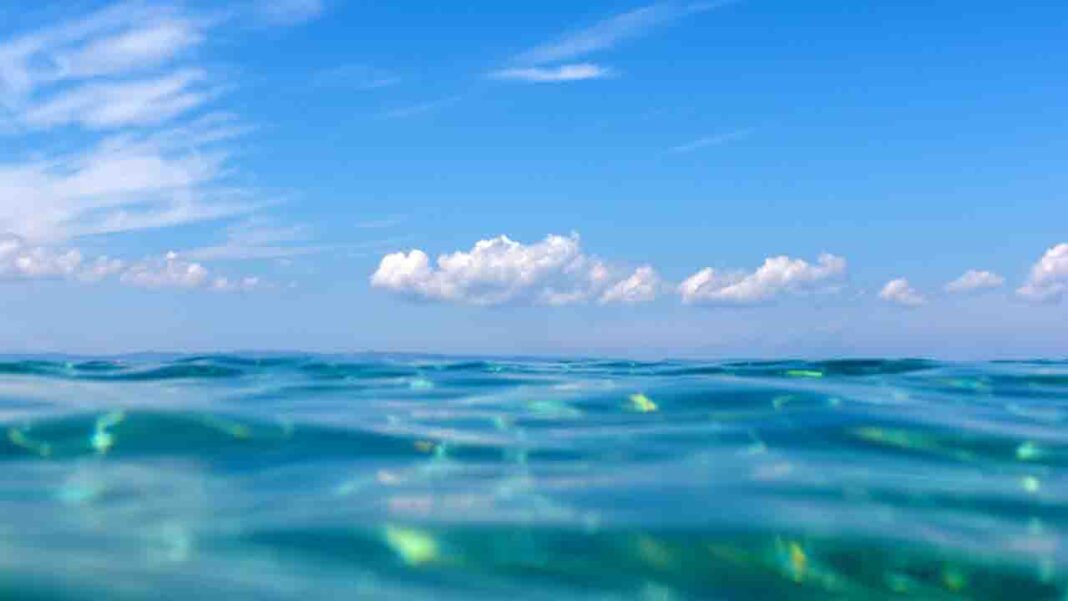 Global hands to celebrate World Oceans Day! Global hands to celebrate World Oceans Day!