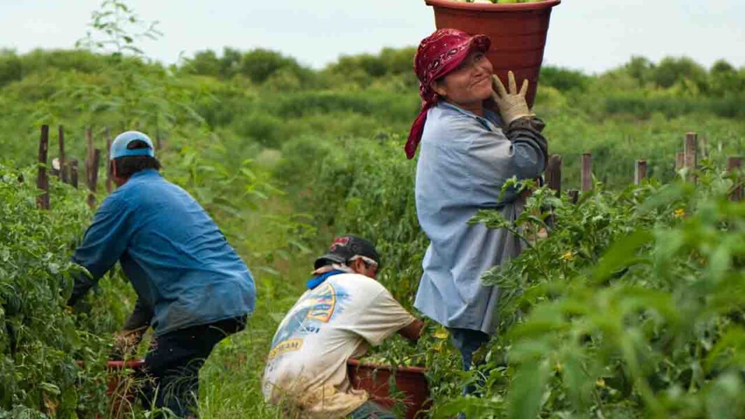 A day for the tireless workforce! A day for the tireless workforce!Â