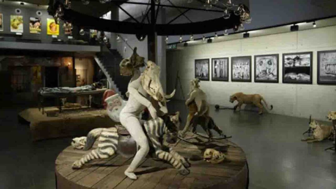 Exhibition that Challenges African wildlife destruction…! Exhibition that Challenges African wildlife destruction…!
