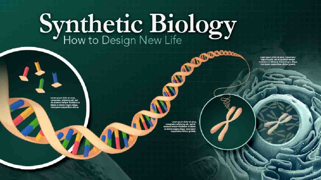 What are Synthetic biologists working on now? What are Synthetic biologists working on now?