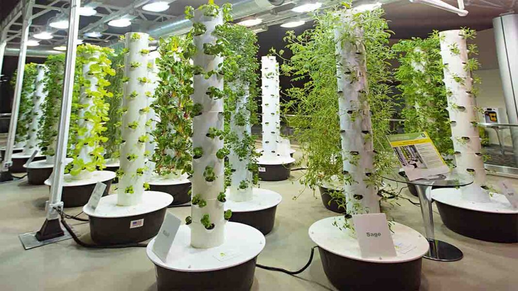 Growing Food in the Sky! Growing Food in the Sky!