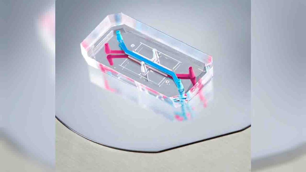 3D stretchable electronics may lower n… for an… ting 3D stretchable electronics may lower n… for an… ting