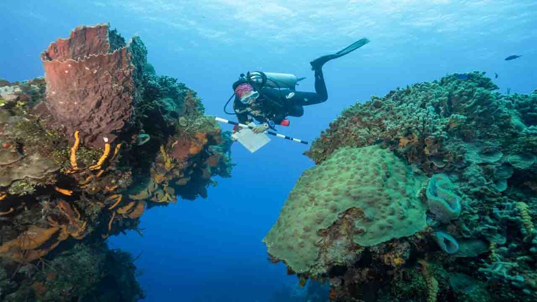 Understanding the Ecological Consequences Understanding the Ecological Consequences