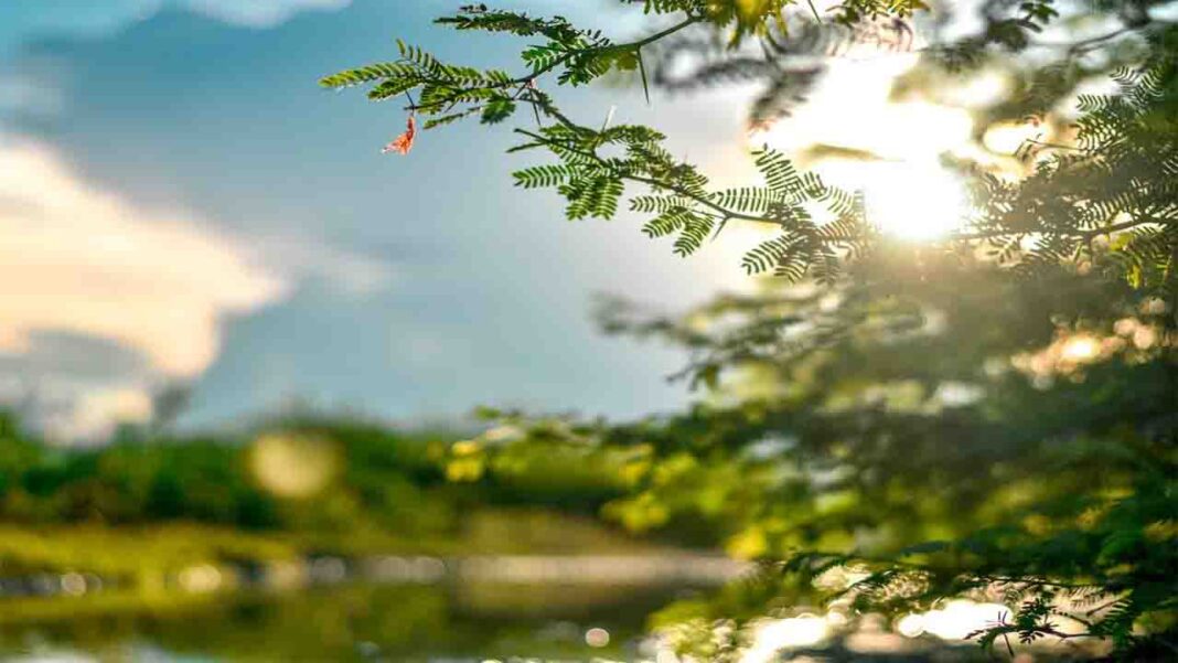 Let’s appreciate Daylight…! Let’s appreciate Daylight…!