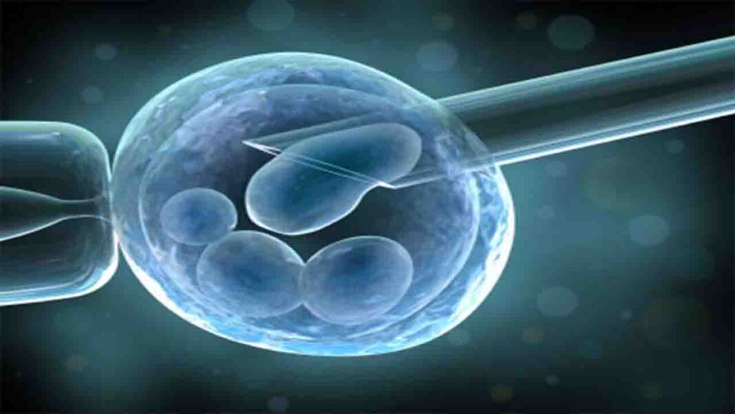 Stem cell regulation framework in…! Stem cell regulation framework in…!