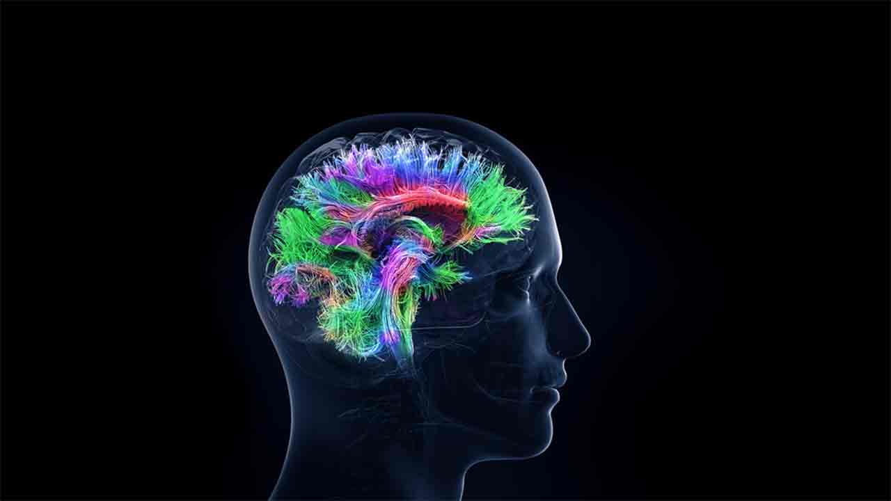 Brains mp3. Fusion Brain нейросеть. It мозг. Заставки на рабочий стол мозг 3d.
