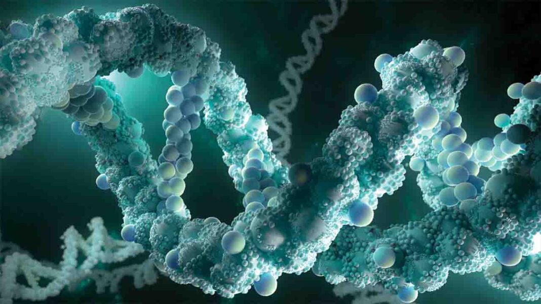 Using synthetic biology to create… Using synthetic biology to create…