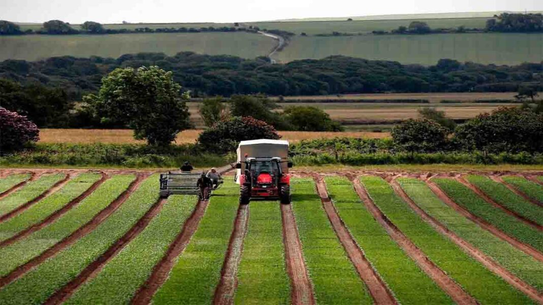 Can agriculture in Scotland be sustainable? Can agriculture in Scotland be sustainable?