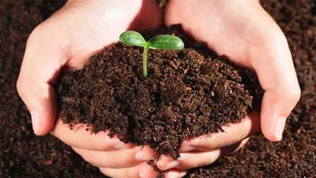 Sri Lanka plans to expand its… Sri Lanka plans to expand its…