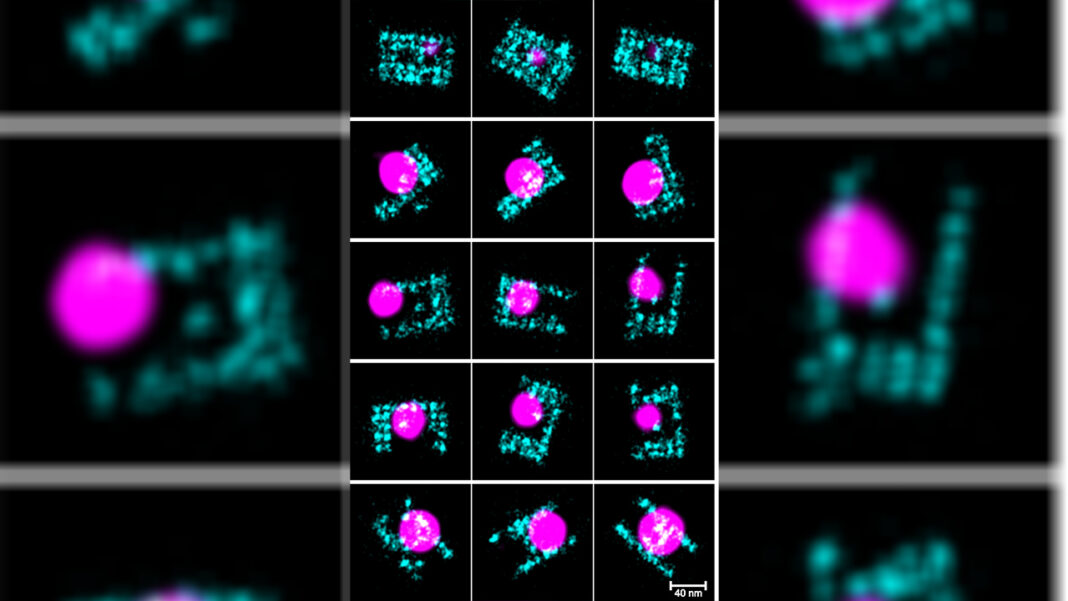 State-of-the-art imaging technique gives… State-of-the-art imaging technique gives…