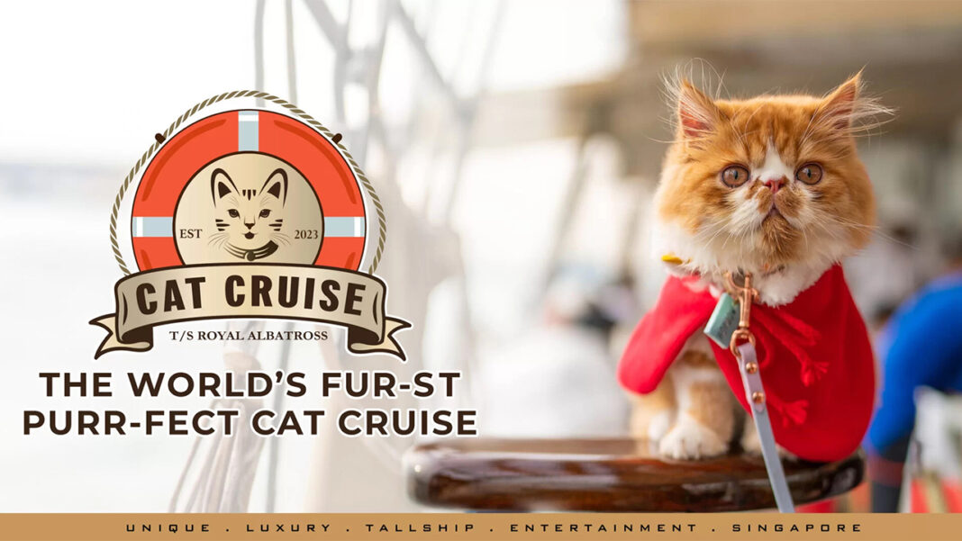 All paws on deck! All paws on deck!