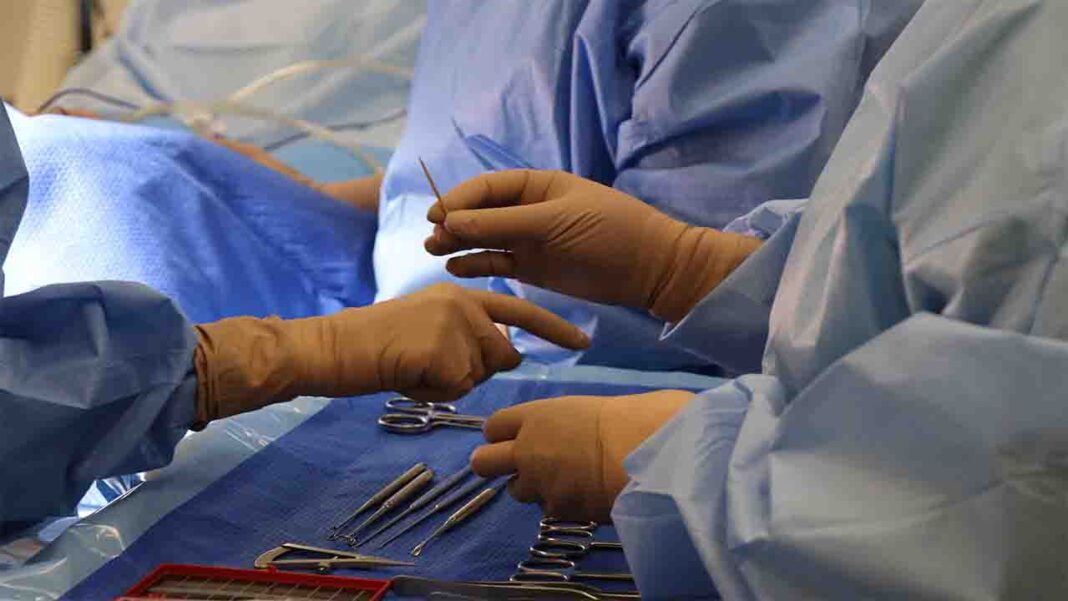 Nature inspires healthcare innovations Nature inspires healthcare innovations