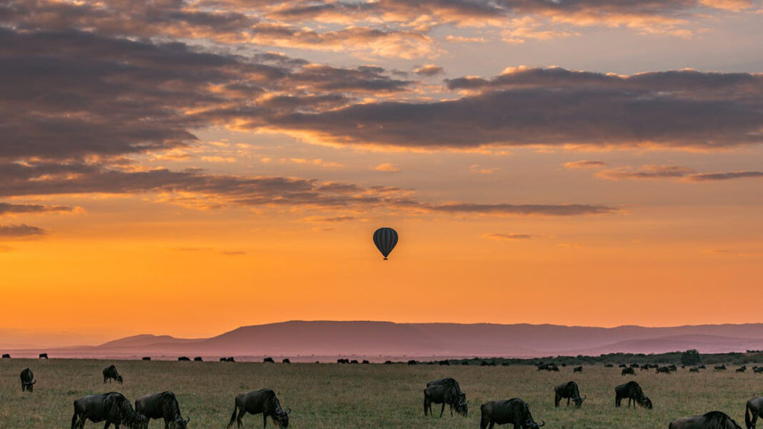 Tourism boon for… Tourism boon for…