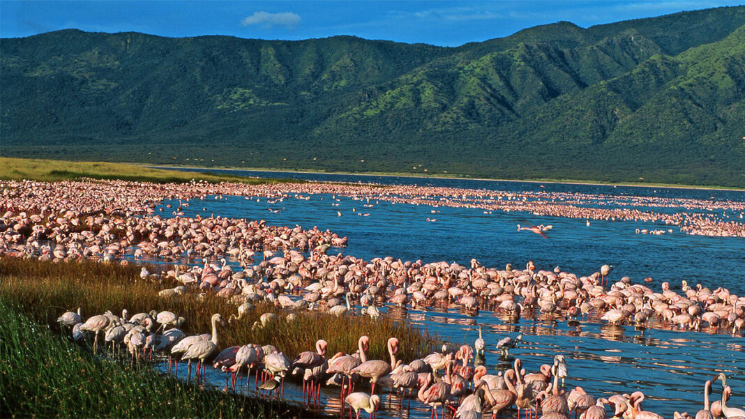 The Great Rift Valley… The Great Rift Valley…