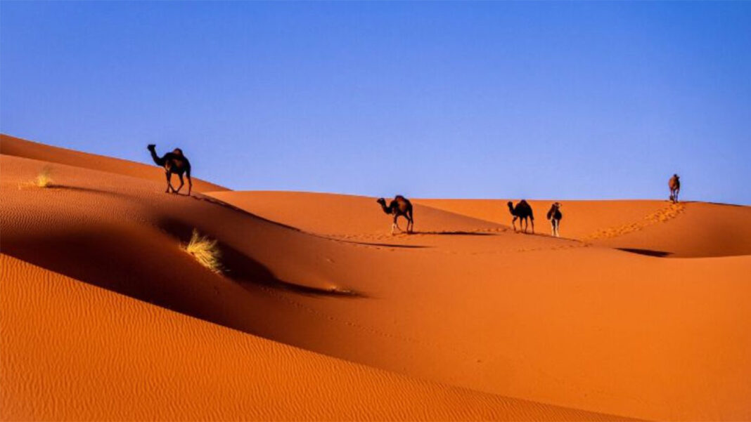 Africa’s Enigmatic Medina… Africa’s Enigmatic Medina…
