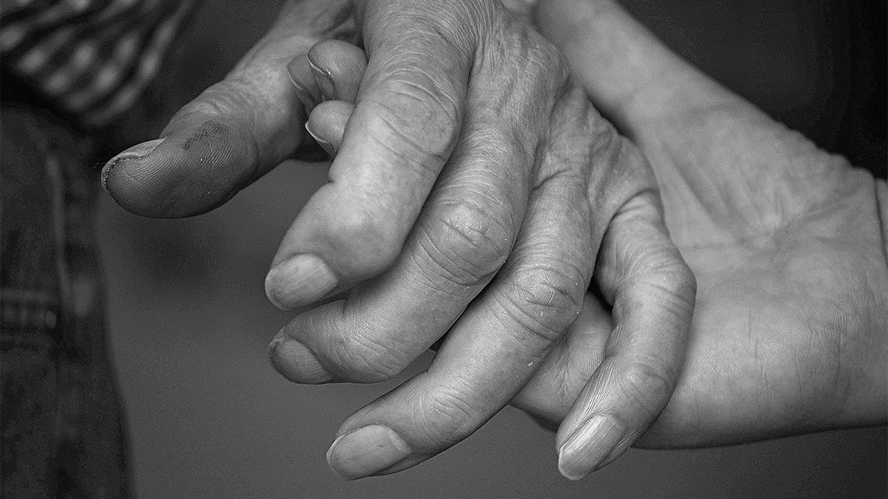 What Role Does Commonwealth Union